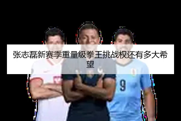 张志磊新赛季重量级拳王挑战权还有多大希望