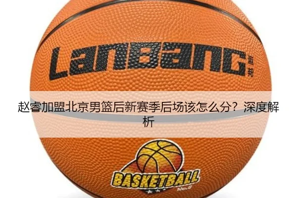 赵睿加盟北京男篮后新赛季后场该怎么分？深度解析